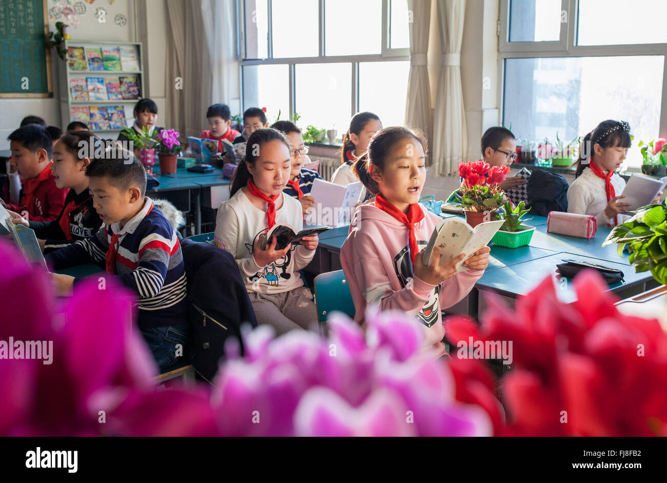 Hohhot, la Cina della Mongolia Interna Regione Autonoma. 1 Mar, 2016. Gli alunni leggere in un aula decorata con piante in una scuola primaria a Hohhot, capitale del nord della Cina di Mongolia Interna Regione Autonoma, 1 marzo 2016. Gli insegnanti e gli studenti di una scuola primaria a Hohhot decorate loro aule con impianti per ambiente di apprendimento migliore. © Ding Genhou/Xinhua/Alamy Live News Foto Stock
