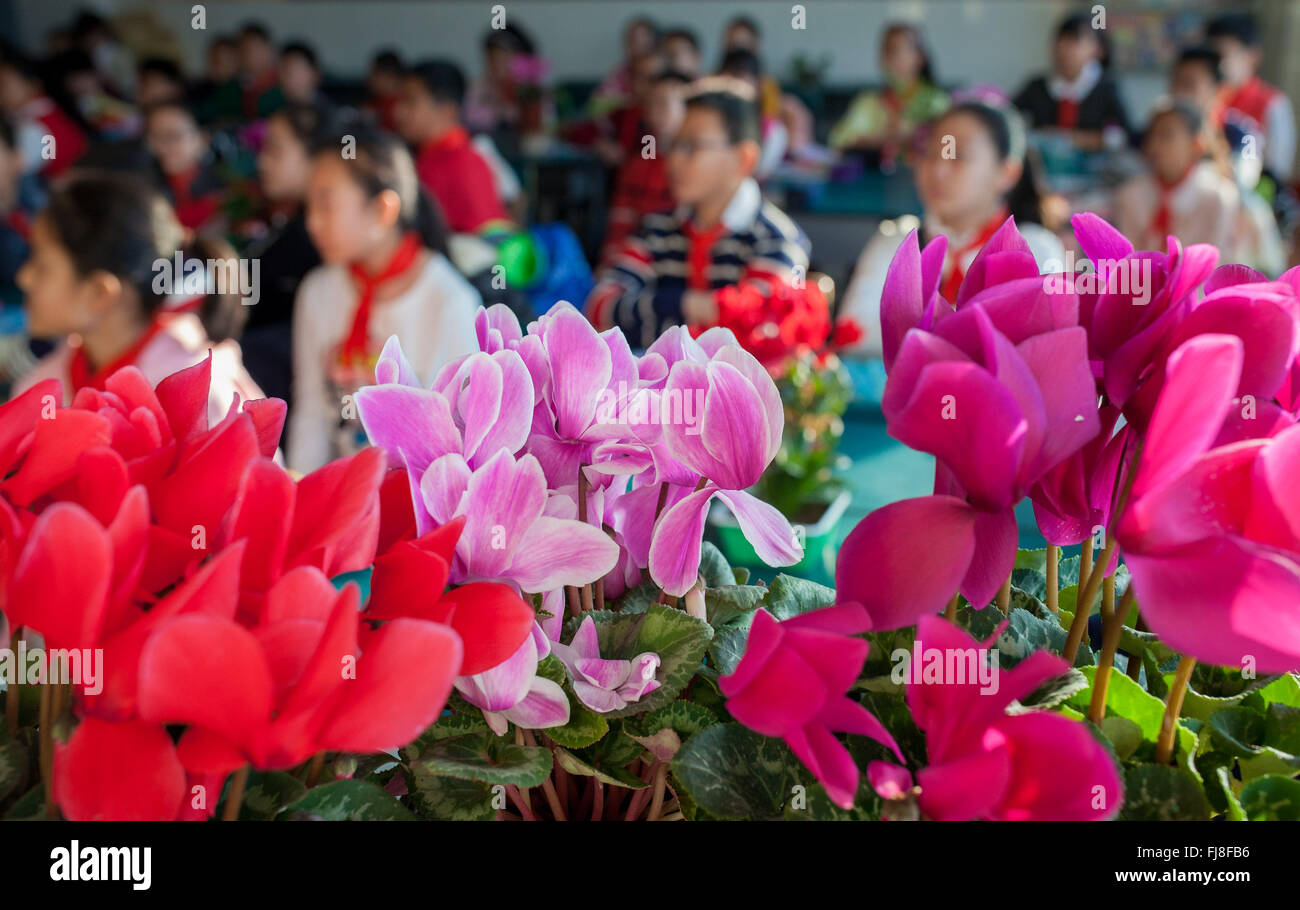 Hohhot, la Cina della Mongolia Interna Regione Autonoma. 1 Mar, 2016. Gli allievi studiano presso un'aula decorata con piante in una scuola primaria a Hohhot, capitale del nord della Cina di Mongolia Interna Regione Autonoma, 1 marzo 2016. Gli insegnanti e gli studenti di una scuola primaria a Hohhot decorate loro aule con impianti per ambiente di apprendimento migliore. © Ding Genhou/Xinhua/Alamy Live News Foto Stock