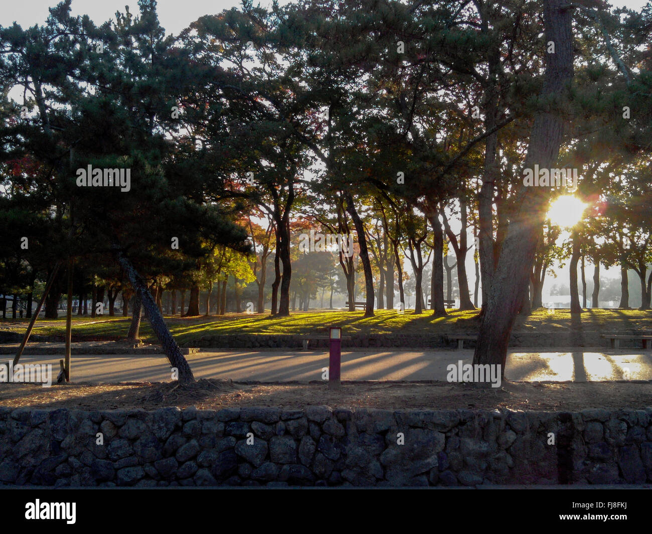Campagna giapponese Foto Stock