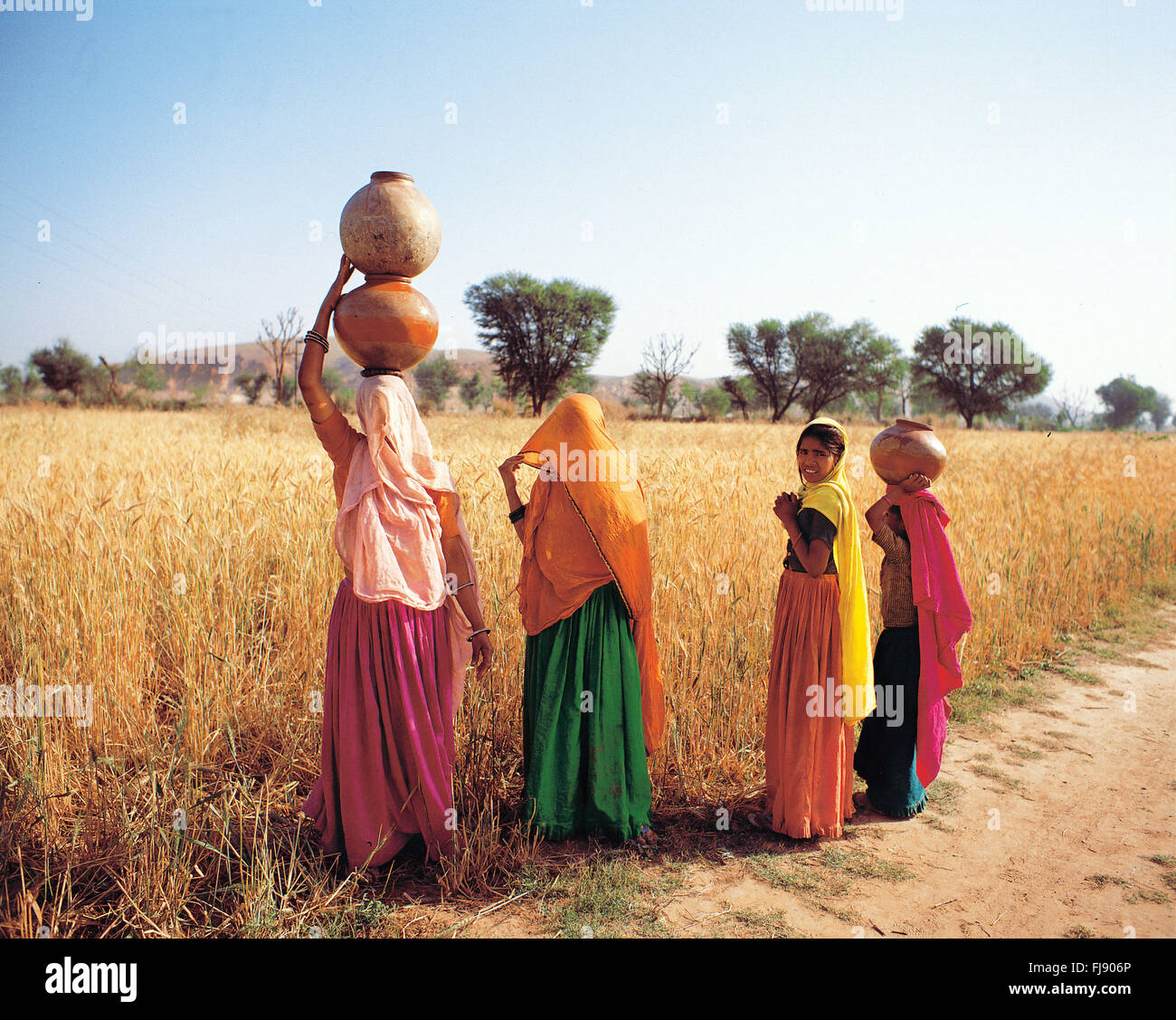 Donna che trasportano l'acqua pot, Rajasthan, India, Asia Foto Stock