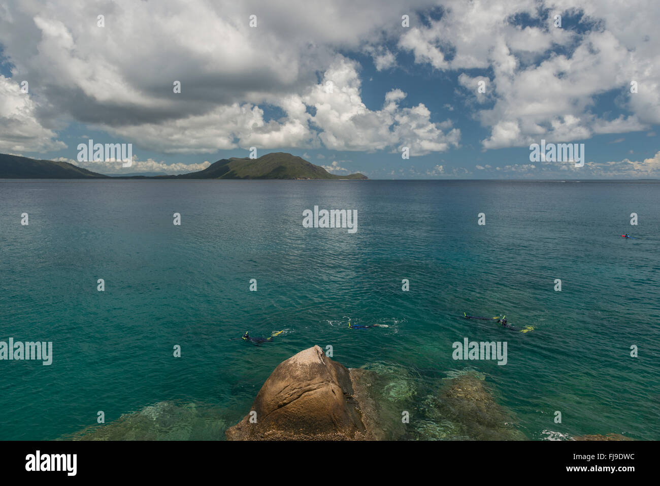 Snorkeling nuoto intorno alla bellissima spiaggia Nudey di Fitzroy isola lontano tropicale Nord Queensland, Foto Stock