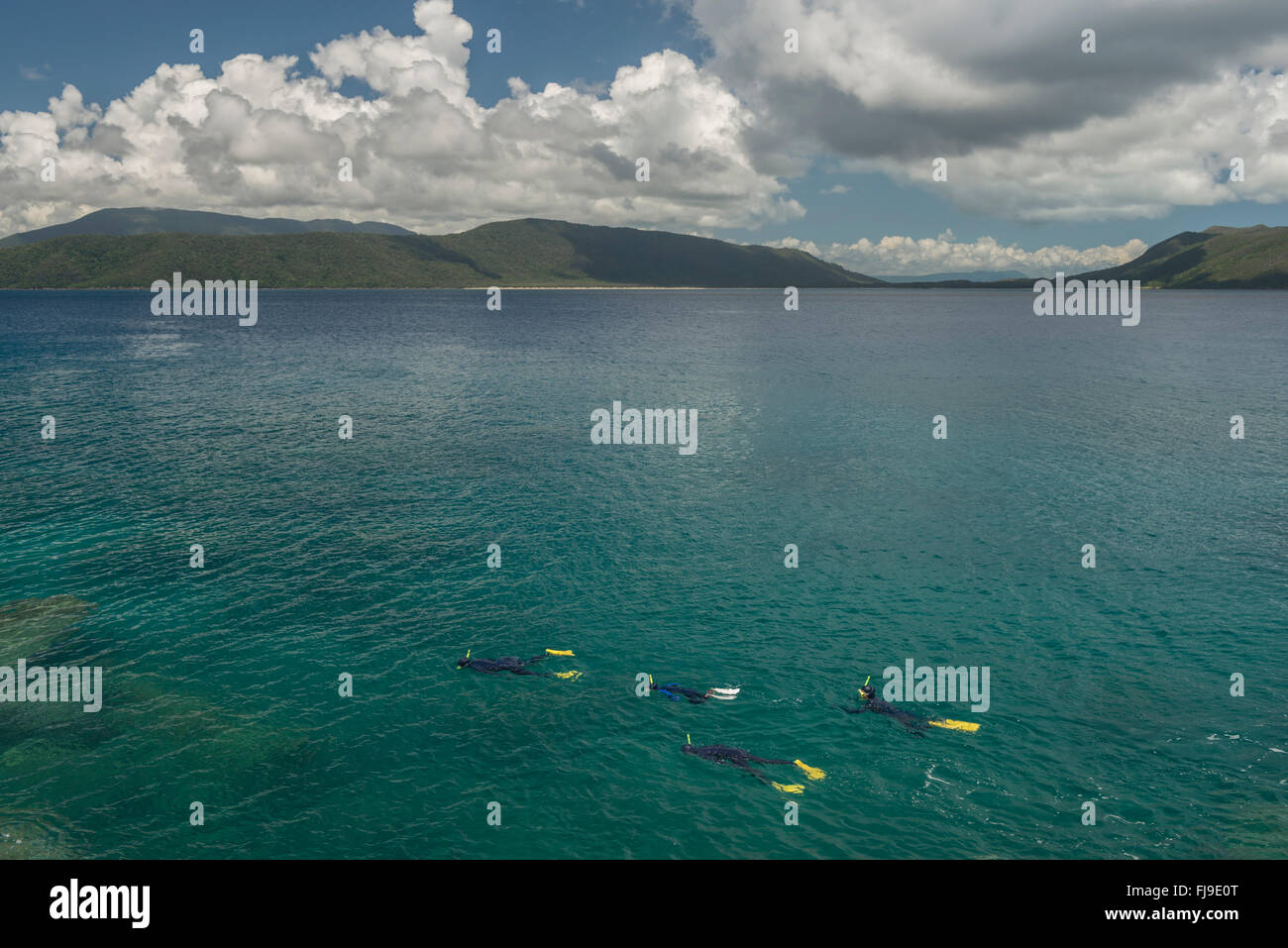 Snorkeling nuoto intorno alla bellissima spiaggia Nudey di Fitzroy isola lontano tropicale Nord Queensland, Foto Stock