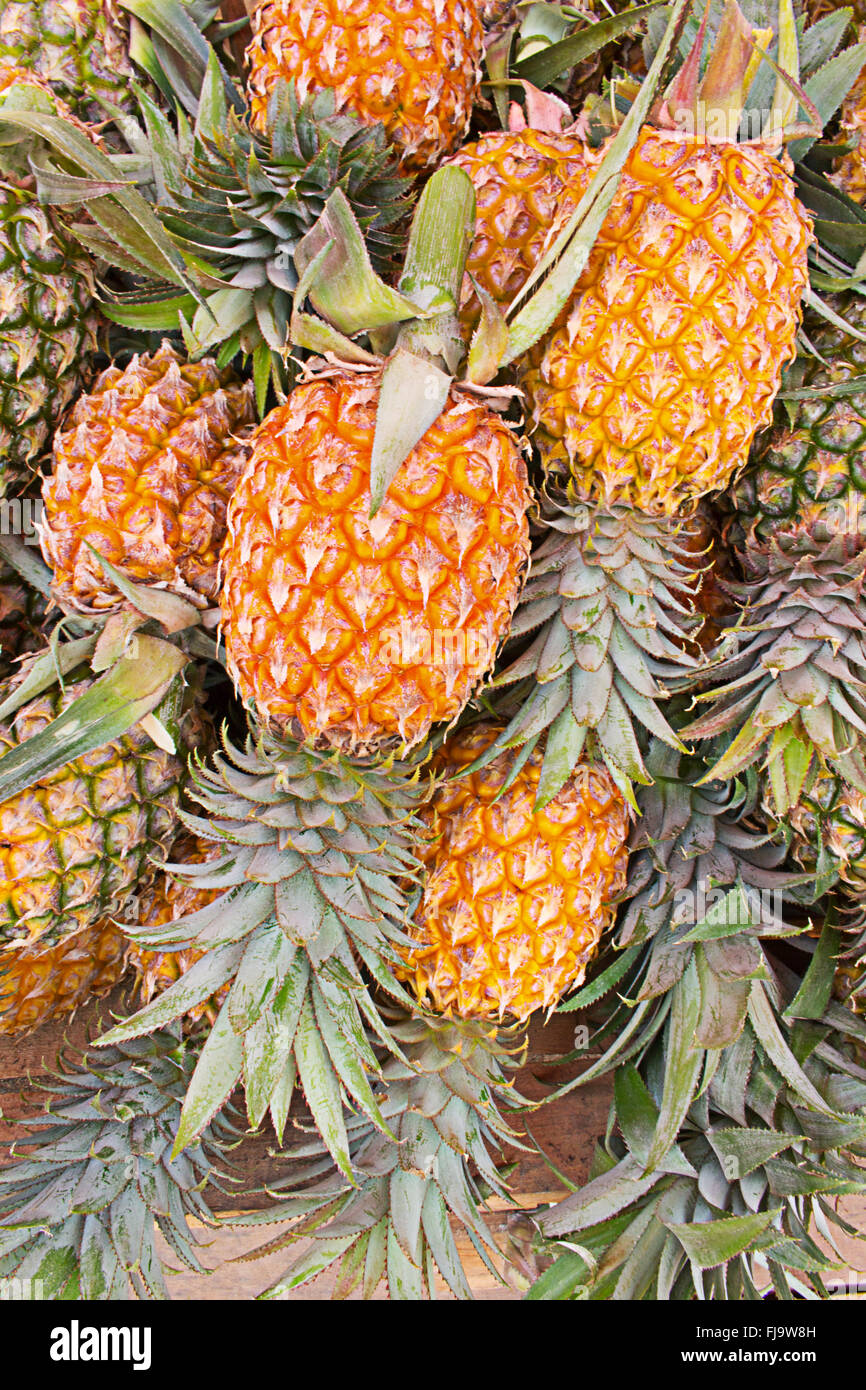 Royal deliziosa ananas in Thailandia. Succosa e incredibilmente dolce. Foto Stock