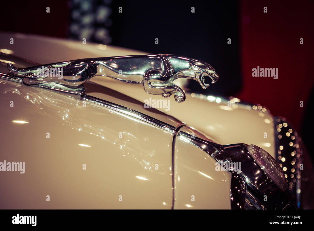 Ornamento del cofano (Jaguar nel salto) della Jaguar XK150. Stilizzazione. Tonificazione. Foto Stock