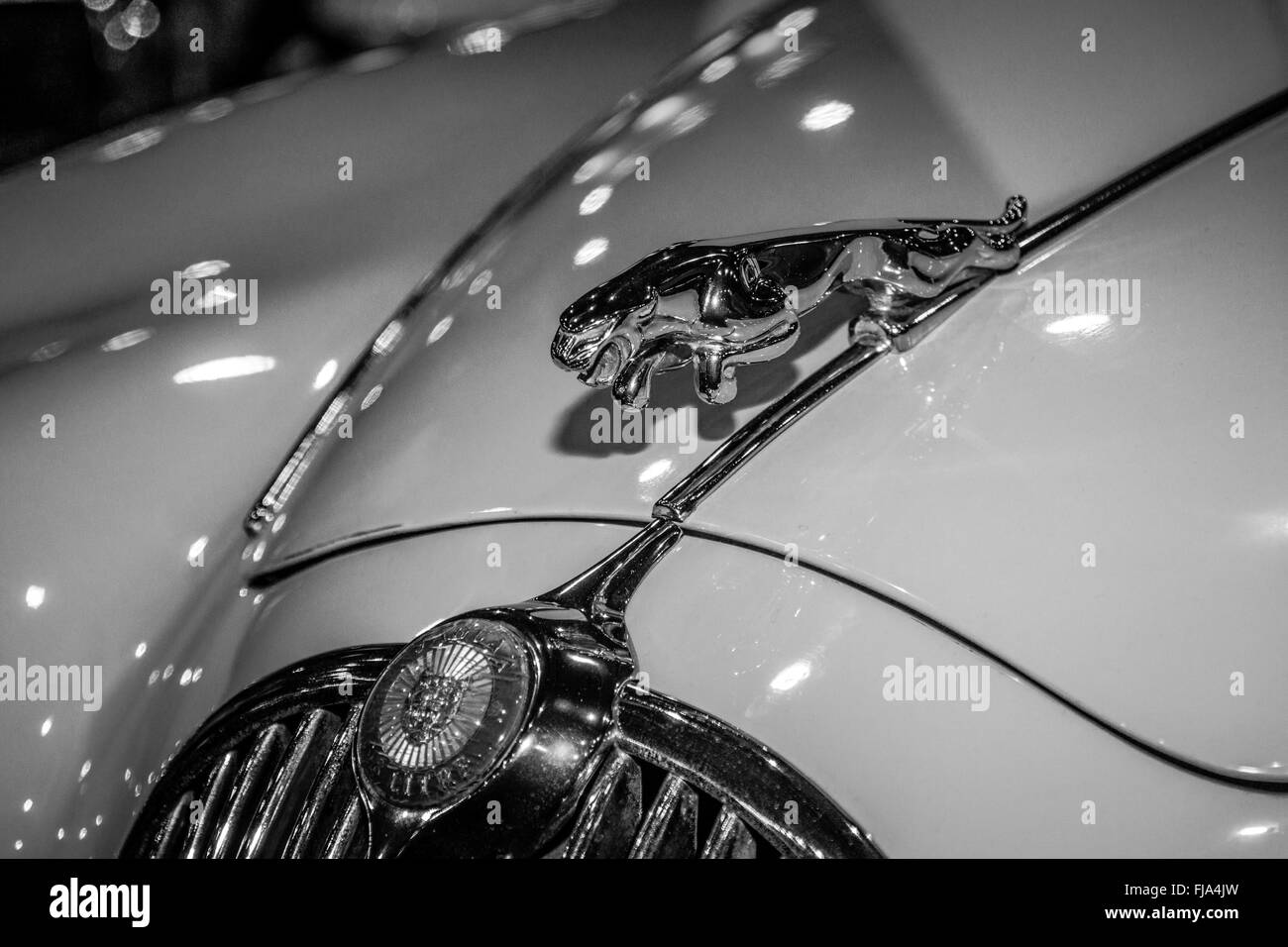 Ornamento del cofano (Jaguar nel salto) della Jaguar XK150. In bianco e nero. Foto Stock