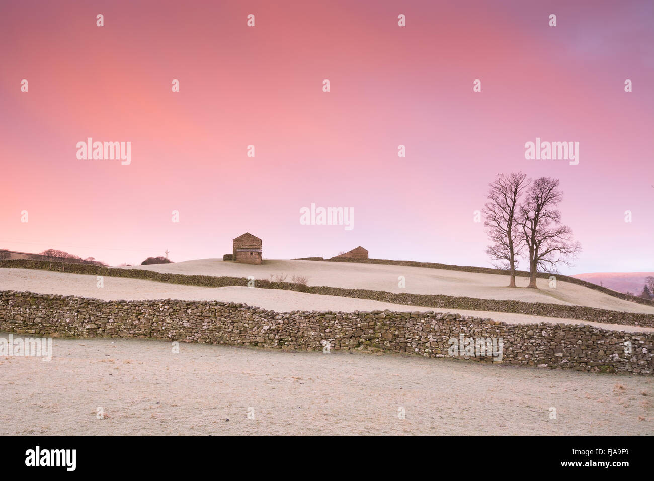 Inverno di sunrise e muri in pietra a secco Foto Stock