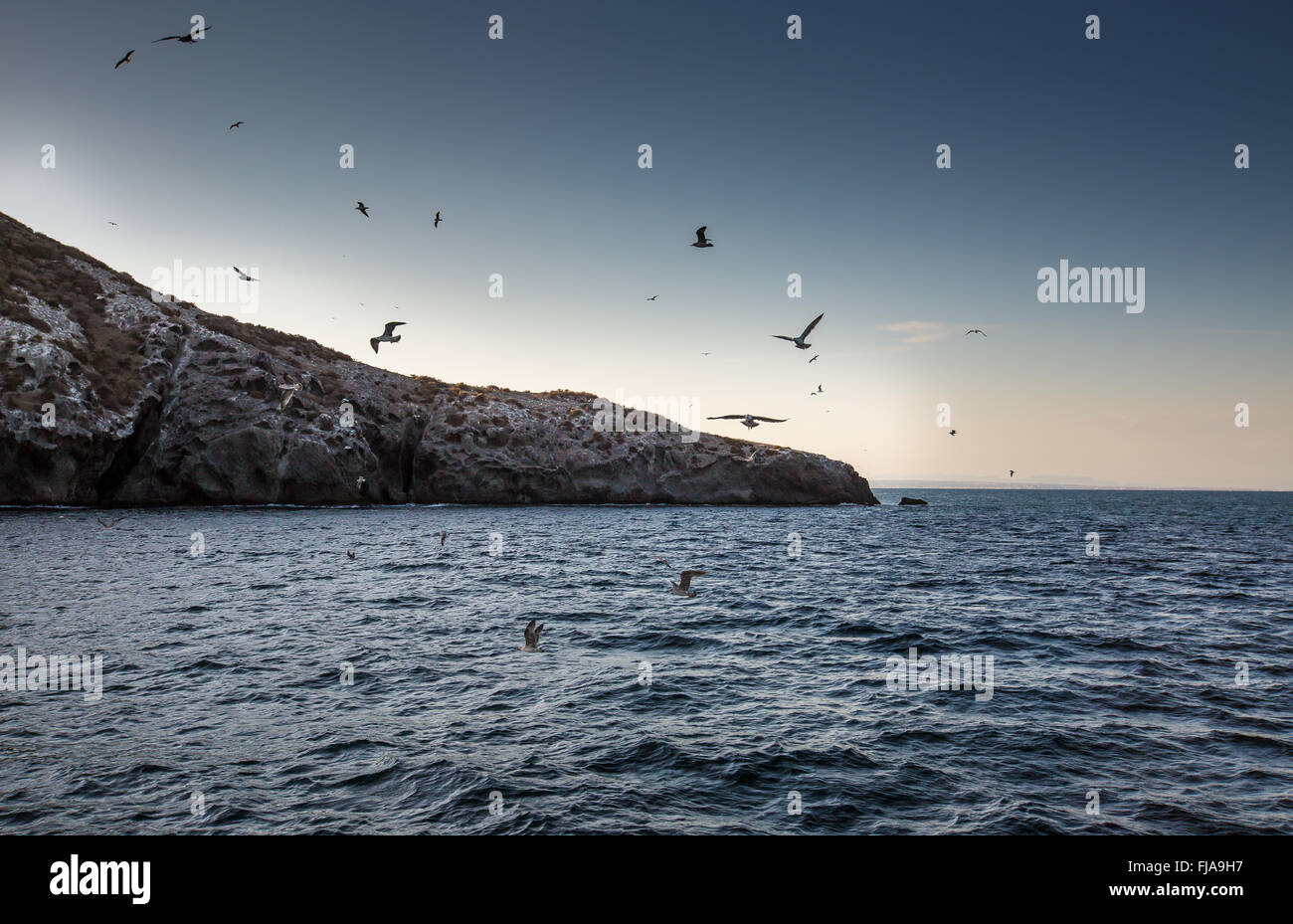 Isla Grosa - isola spagnola vicino a La Manga Foto Stock