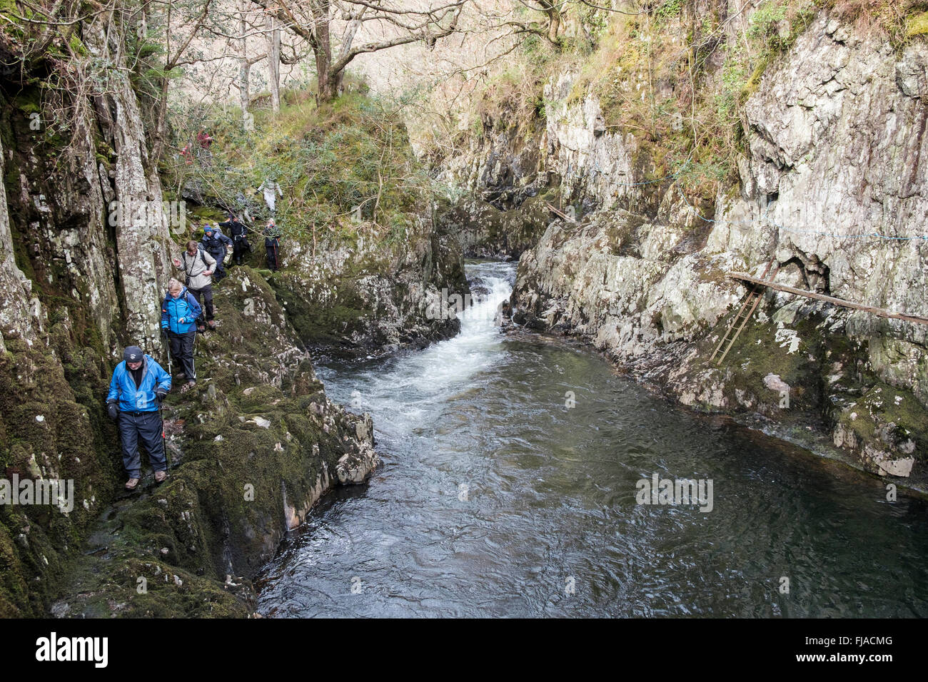 Gli escursionisti a piedi su stretto sentiero roccioso in Lledr Gorge nel Parco Nazionale di Snowdonia vicino Dolwyddelan, Conwy, il Galles del Nord, Regno Unito, Gran Bretagna Foto Stock