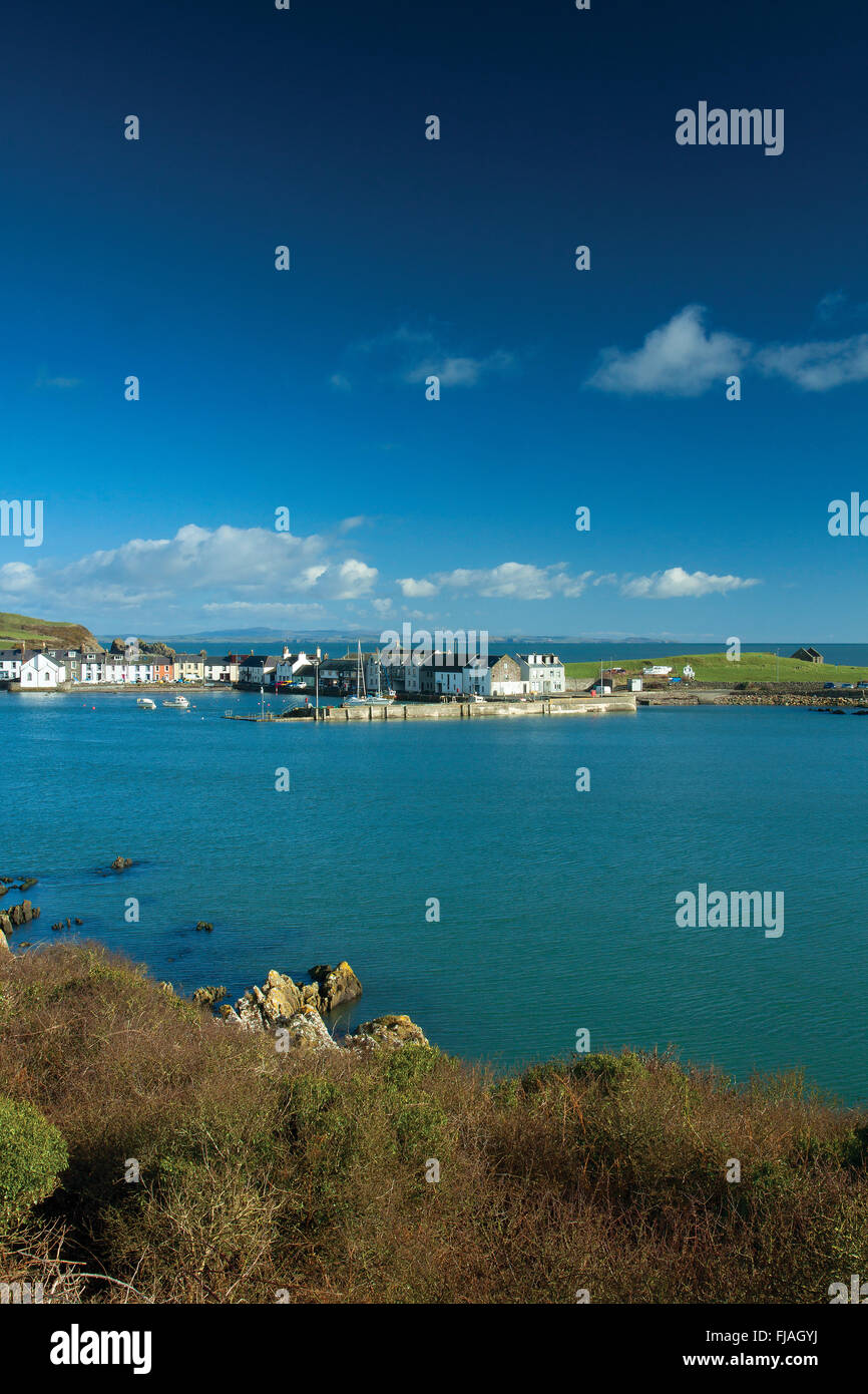 Isola di Whithorn e san Ninian's Chapel, Dumfries and Galloway Foto Stock