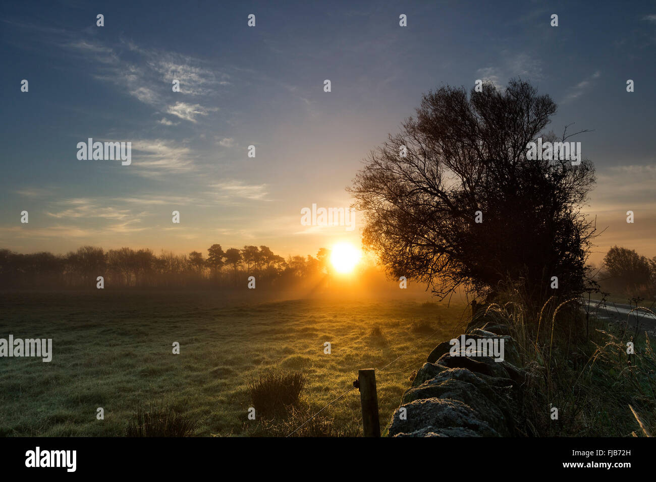 Misty Sunrise Teesdale County Durham Regno Unito Foto Stock