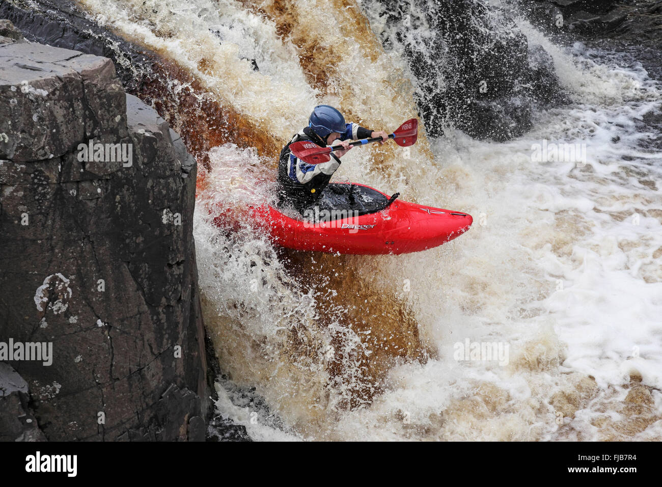 Kayaker sul Fiume Tees a bassa forza, Bowlees, County Durham Regno Unito Foto Stock