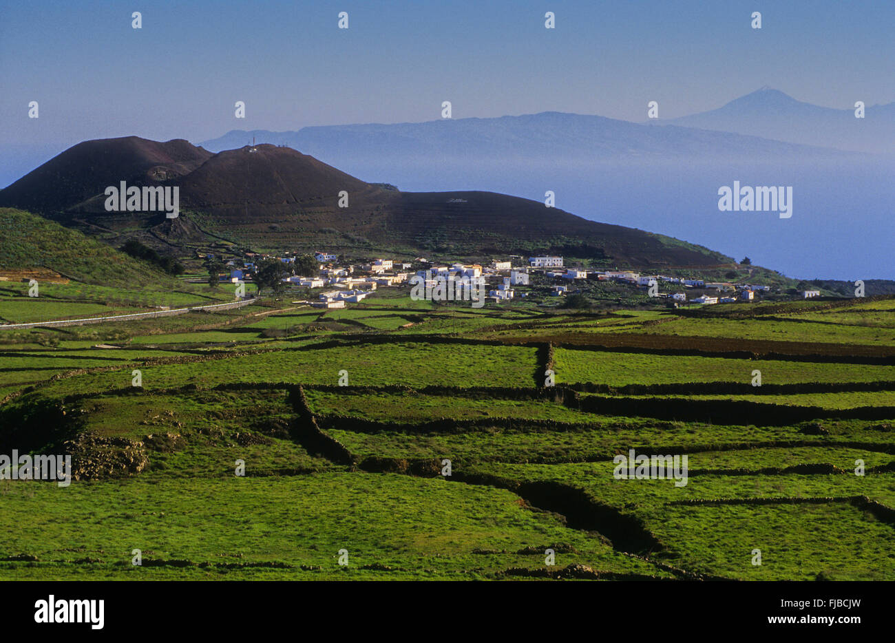 Meseta de Nisdafe,Nisdafe altopiano, El Hierro, Isole canarie, Spagna, Europa Foto Stock