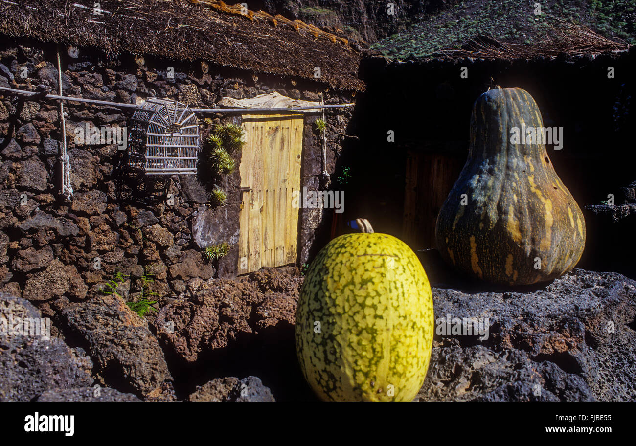 Guinea, El Golfo Valle, El Hierro, Isole canarie, Spagna, Europa Foto Stock