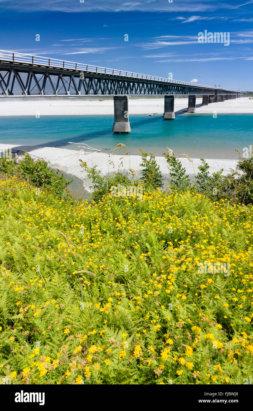Haast River Bridge e il più lungo di una singola corsia ponte in Nuova Zelanda, davanti la felce con Bird's-piede (trifoglio Lotus corniculatus) Foto Stock