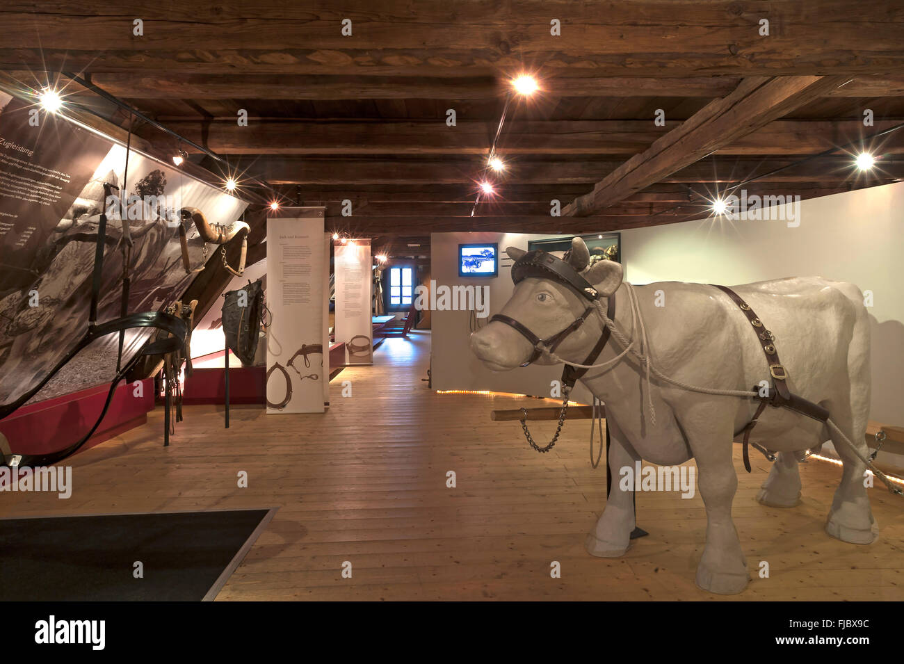 Mostra permanente di camere, mostra interattiva di uomini e bestie, Deutsches Hirtenmuseum o pastori tedeschi Museum Foto Stock
