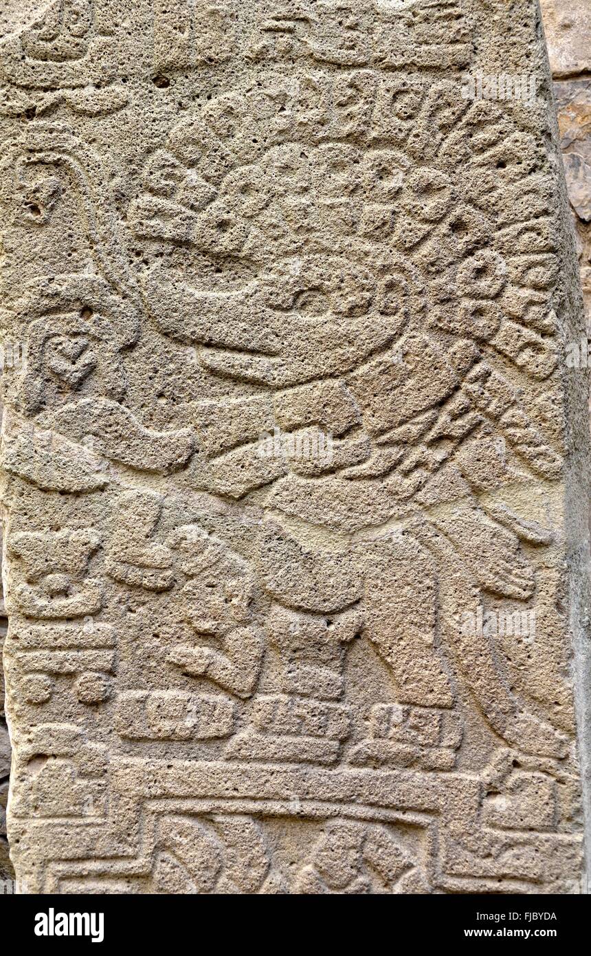 Il bassorilievo, bassorilievo, figura con testa di elefante, sito archeologico di Monte Alban a Oaxaca, Oaxaca, Messico Foto Stock
