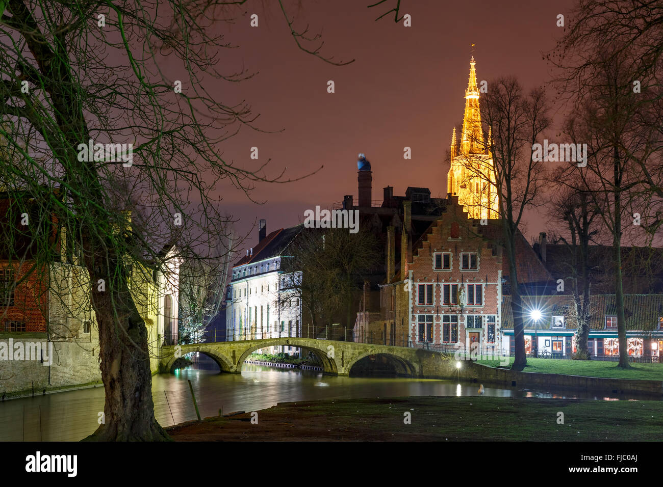 Paesaggio notturno al Lago Minnewater a Bruges, Belgio Foto Stock