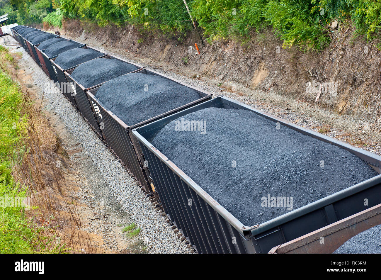Il carbone auto su un lungo treno merci Foto Stock