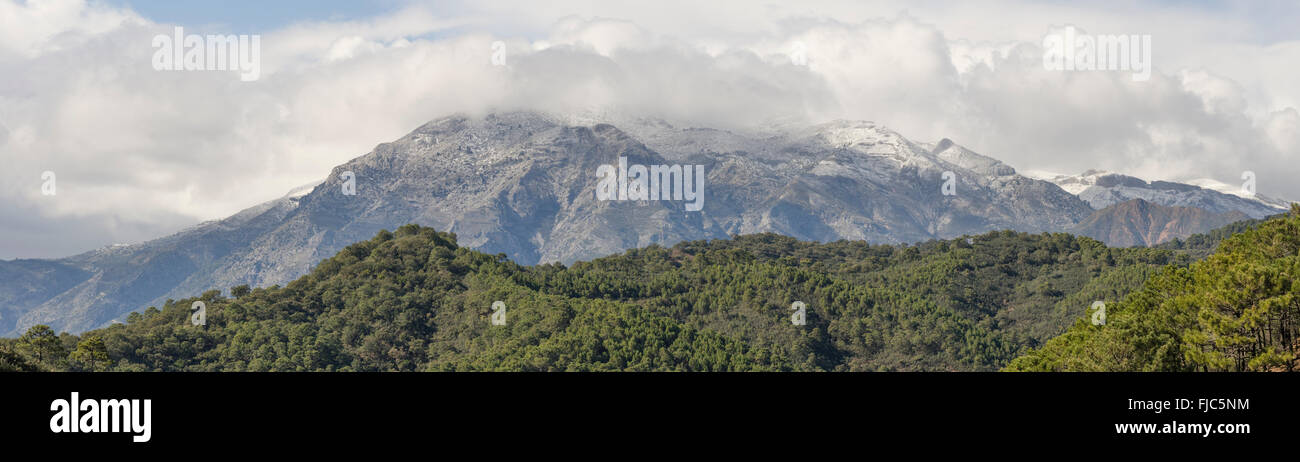La Torrecilla Peak, montagne del Parco naturale Sierra de las Nieves, coperto di neve, Andalusia, Spagna. Foto Stock