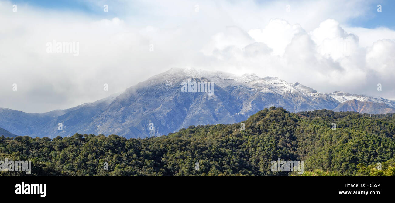 La Torrecilla Peak, montagne del Parco naturale Sierra de las Nieves, coperto di neve, Andalusia, Spagna. Foto Stock