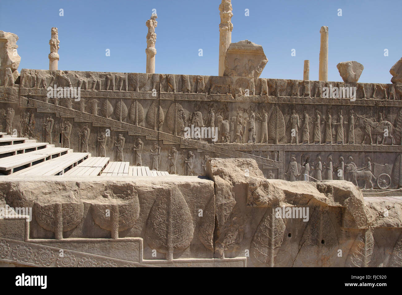 Rilievo sulla scalinata e colonne, Palazzo Apadana, Persepolis, Iran Foto Stock