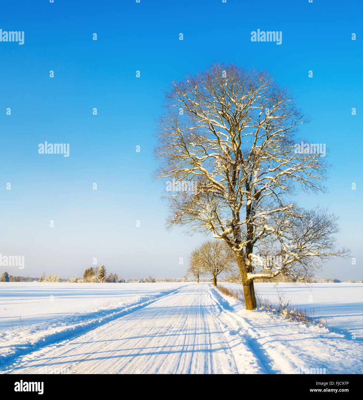 Strada di inverno in campagna, una bella giornata invernale Foto Stock