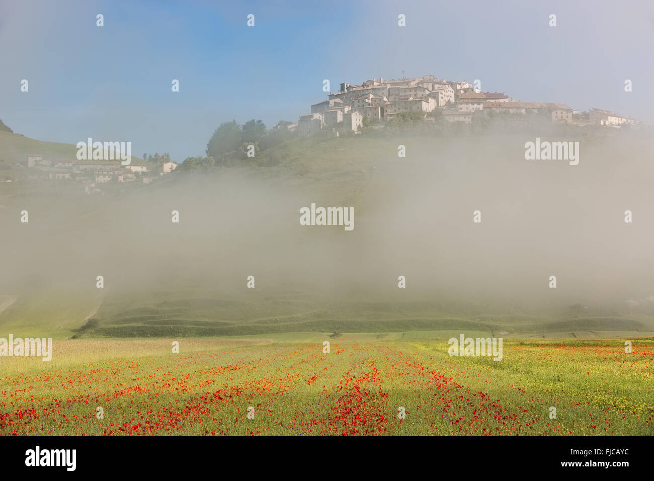 Castelluccio con campi di papavero nella nebbia mattutina, Umbria, Italia Foto Stock