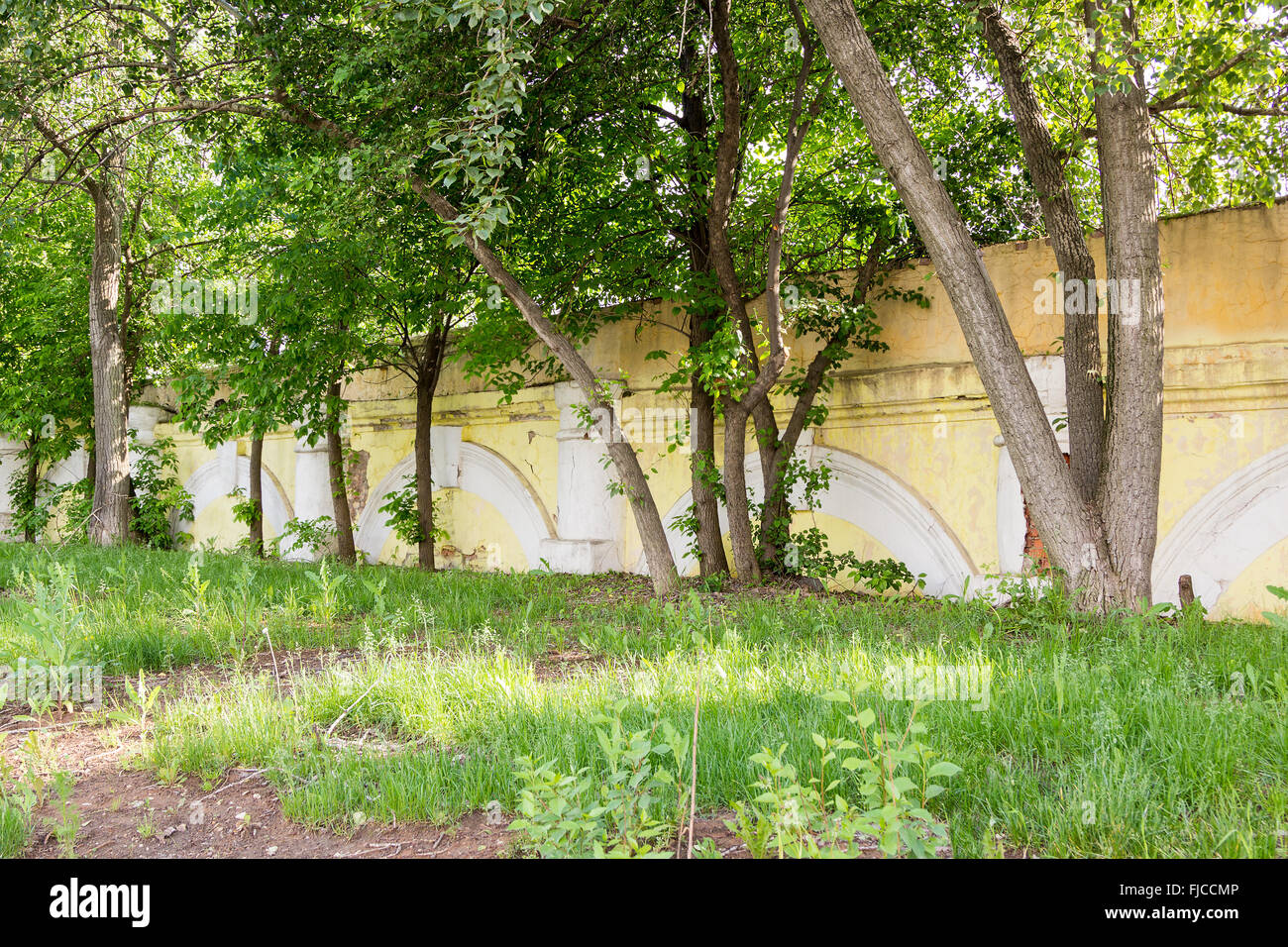 Il vecchio dipinto di un muro di mattoni nel parco Foto Stock
