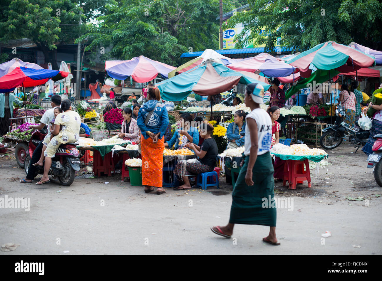 Mercato dei fiori Jasmine Fiori Mandalay Myanmar // MANDALAY, Myanmar — Jasmine, gelsomino d'acqua e altri fiori vengono offerti in vendita in un mercato dei fiori pomeridiano vicino a Pulaing Street a Mandalay. Il mercato rappresenta parte del tradizionale commercio di fiori del Myanmar, dove i fiori freschi vengono venduti per offerte religiose, cerimonie e uso quotidiano. Mandalay, la seconda città più grande del Myanmar ed ex capitale reale, mantiene numerosi mercati tradizionali in tutta l'area urbana. La città funge da importante centro commerciale nel Myanmar centrale ed è ampiamente considerata il cuore culturale del paese. Flowe Foto Stock
