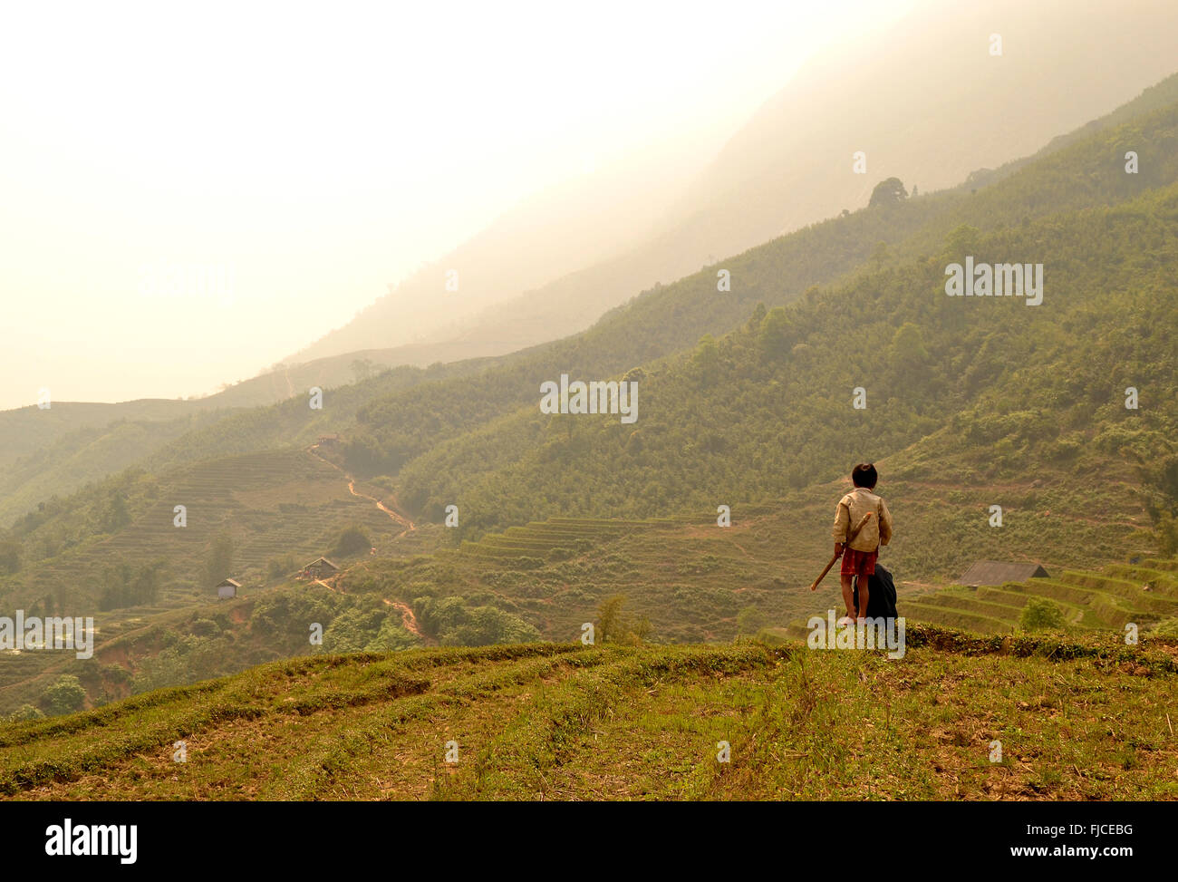 Little Boy guardando sopra le risaie di sapa, nel Vietnam del nord Foto Stock