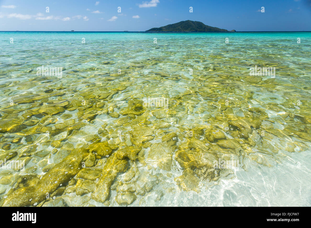 Primo piano vista da una barca di formazioni di corallo sotto l'acqua Foto Stock