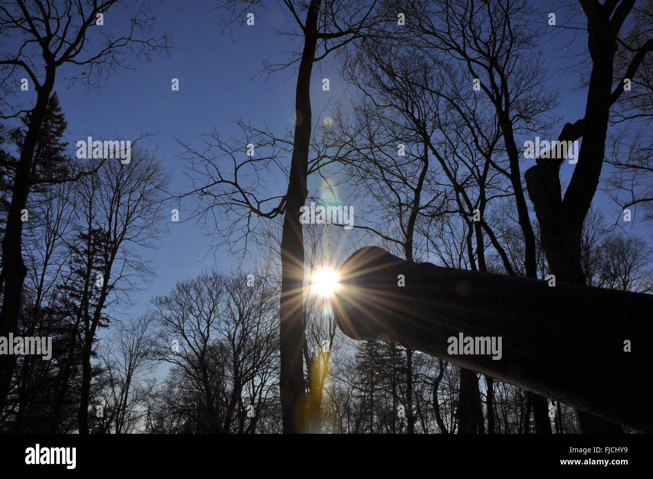 Riprese per il Sun Foto Stock