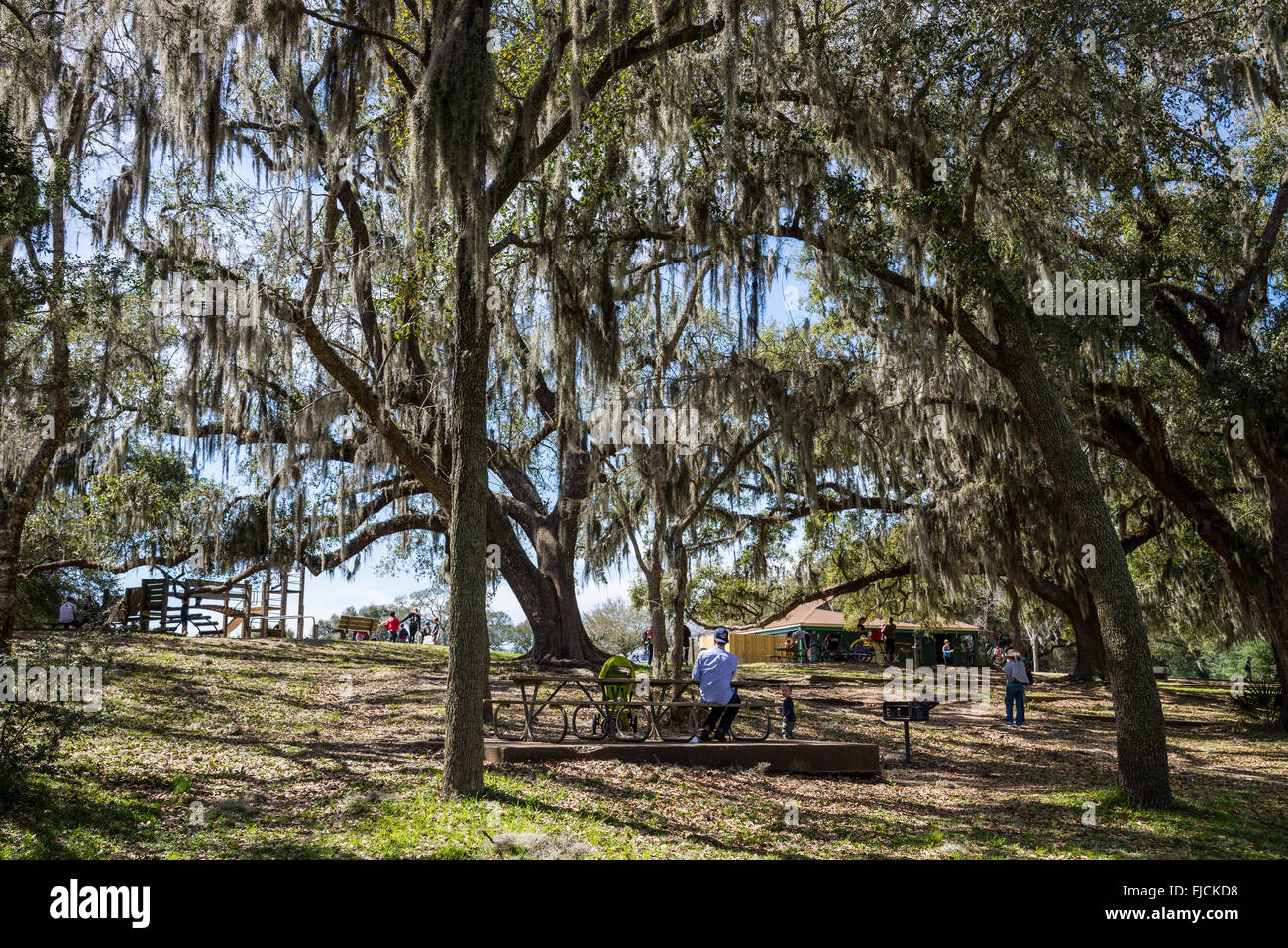 Una famiglia gode di un picnic al Brazos Bend State Park, Houston, Texas, Stati Uniti d'America. Foto Stock