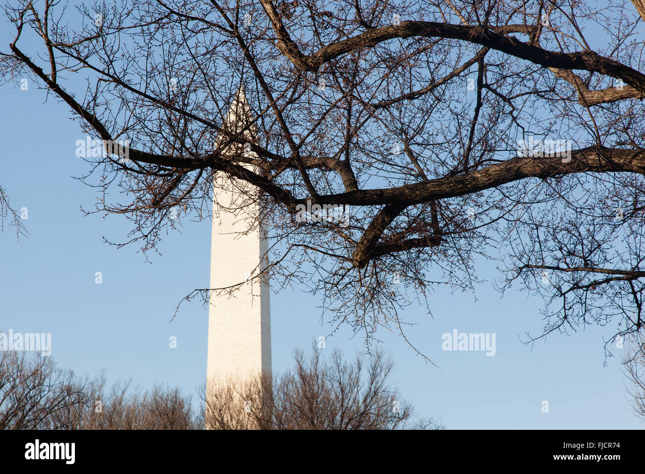 Washington DC - 6 Dicembre 2015: Il Monumento Washinton visto su un soleggiato, blu sciare giorno nel tardo autunno. Foto Stock