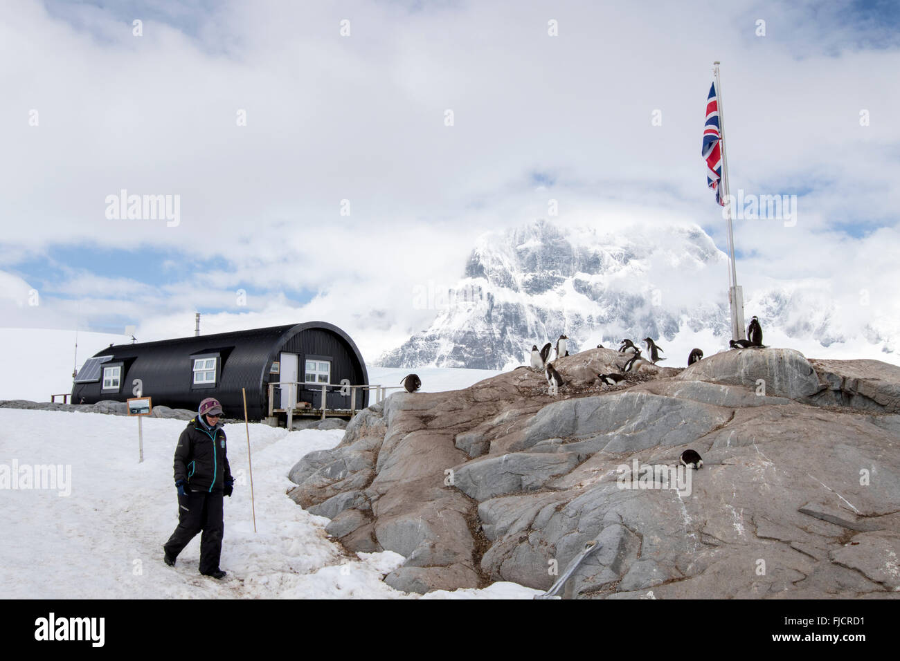 Penguin Post Office la vecchia stazione di ricerca a Port Lockroy, Antartide. Lavoratore postale lasciando quarti viventi. Foto Stock