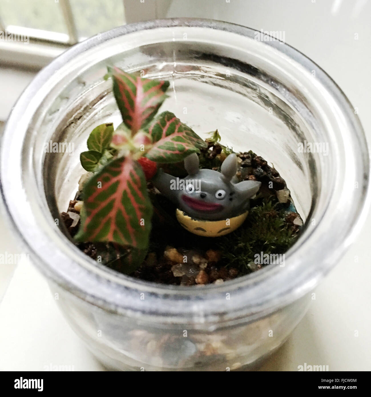 Bottiglia ecologica Foto Stock