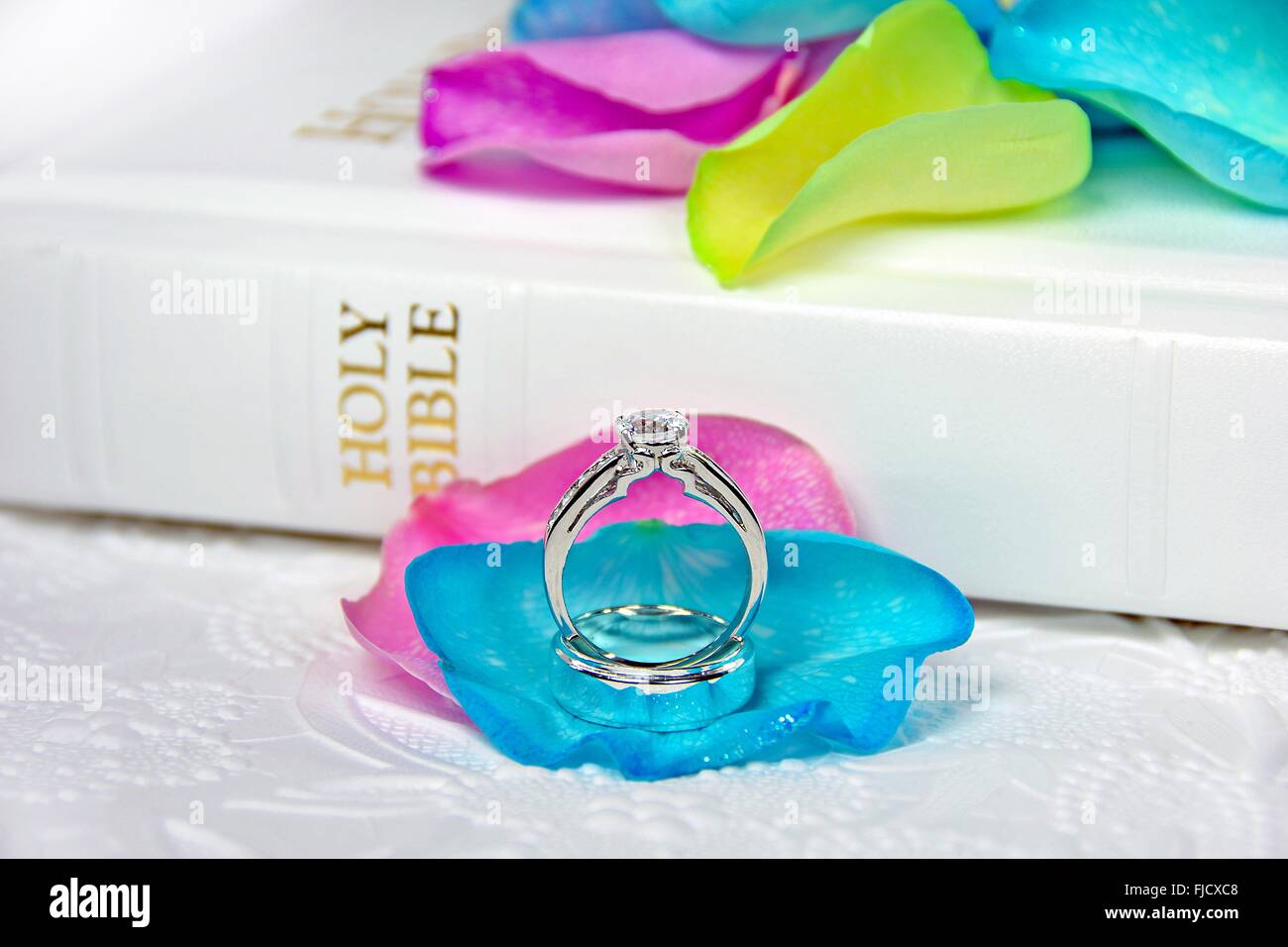 Argento anelli di nozze su Rainbow di petali di rose bianche con la Sacra Bibbia. Foto Stock
