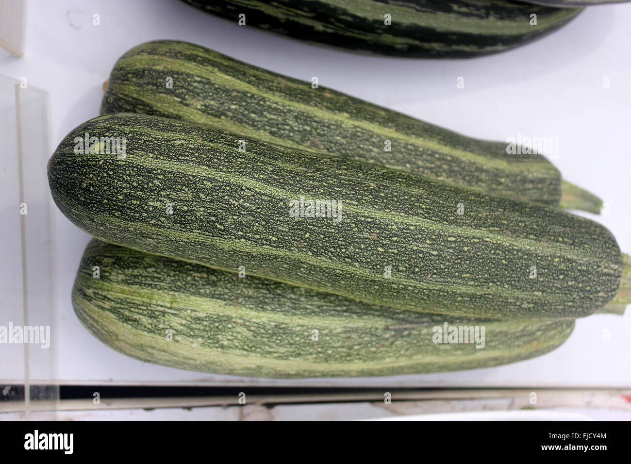 Cucurbita pepo, Australian estate verde squash, cultivar con frutti di forma cilindrica, dak verde con luce strisce verdi e punti Foto Stock