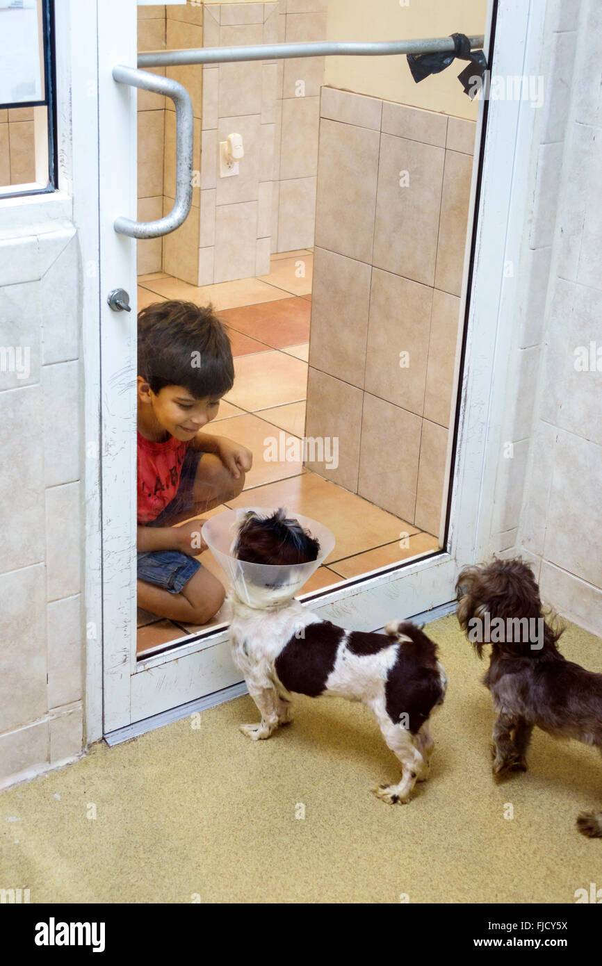 Adoption Center Immagini E Fotos Stock Alamy