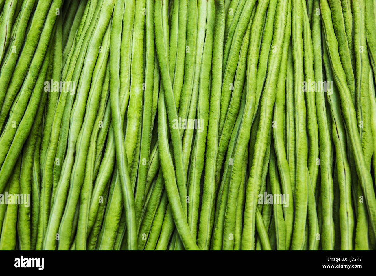 Una foto di yardlong texture bean Foto Stock