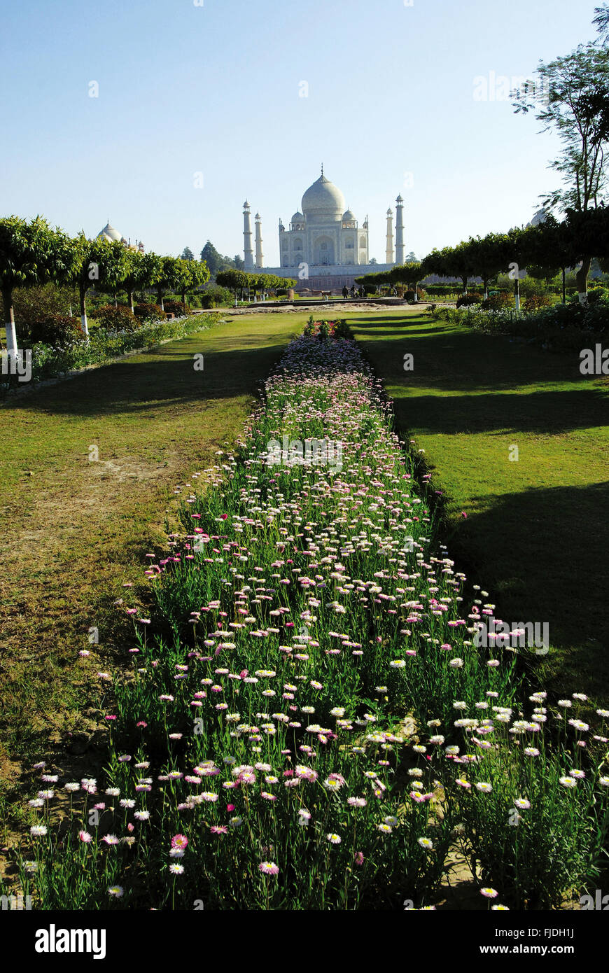 Taj Mahal , mehtab baug char bagh , Agra , India , Asia Foto Stock Taj Mahal , mehtab baug char bagh , Agra , India , Asia Foto Stock