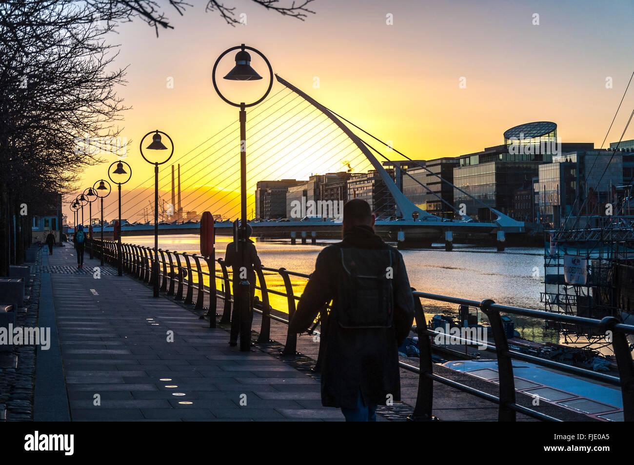 Samuel Beckett ponte sul fiume Liffey, Docklands all'alba, Dublino, Irlanda Foto Stock