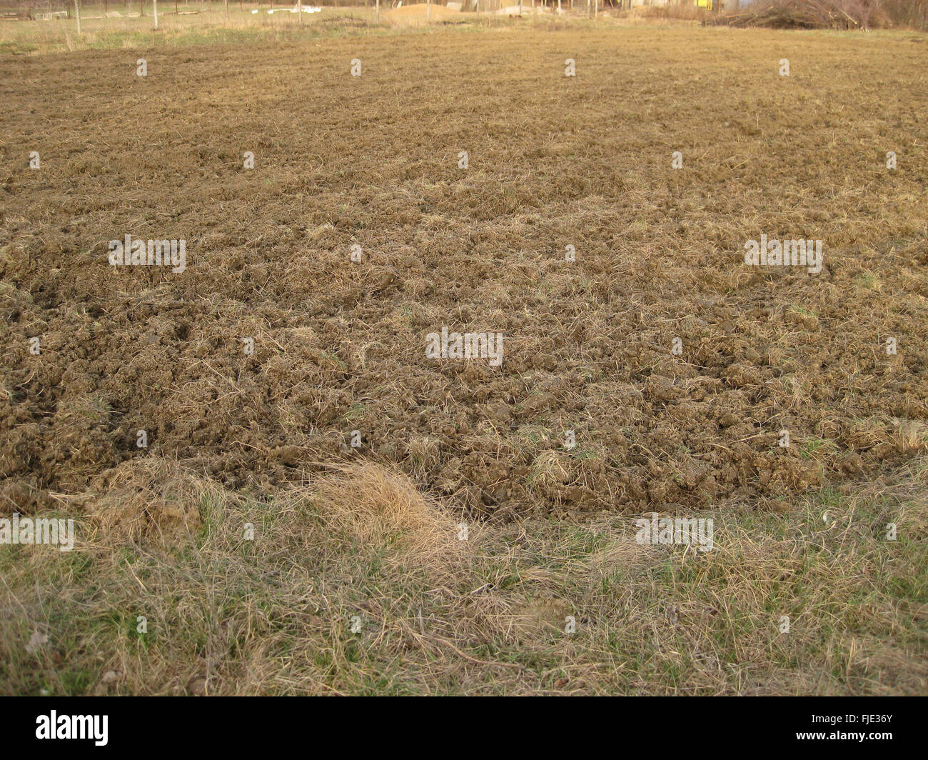 Erpice a dischi aratro il giardino. Infield privato. La cura per il suolo. Preparazione per la semina. Foto Stock