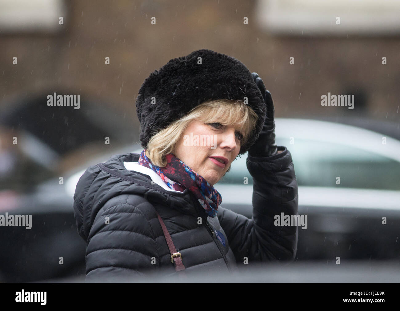 Anna Soubry,il Ministro per le piccole aziende,industria e Enterprise,al numero 10 di Downing Street per una riunione del gabinetto Foto Stock