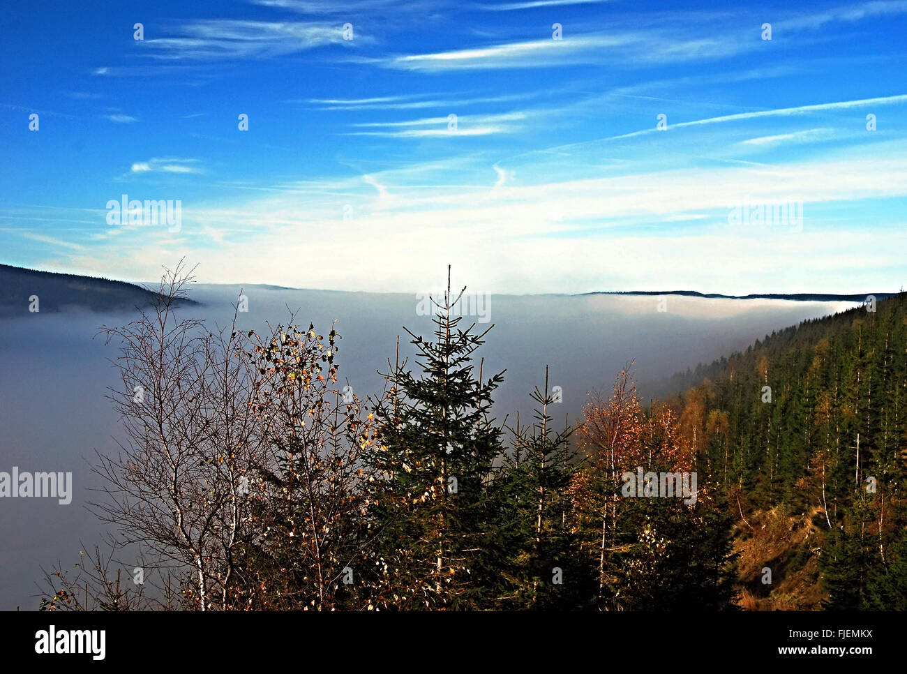 Autunno mattina nebbiosa sopra nelle montagne di Krkonose. Vicino a Spindleruv Mlyn Foto Stock