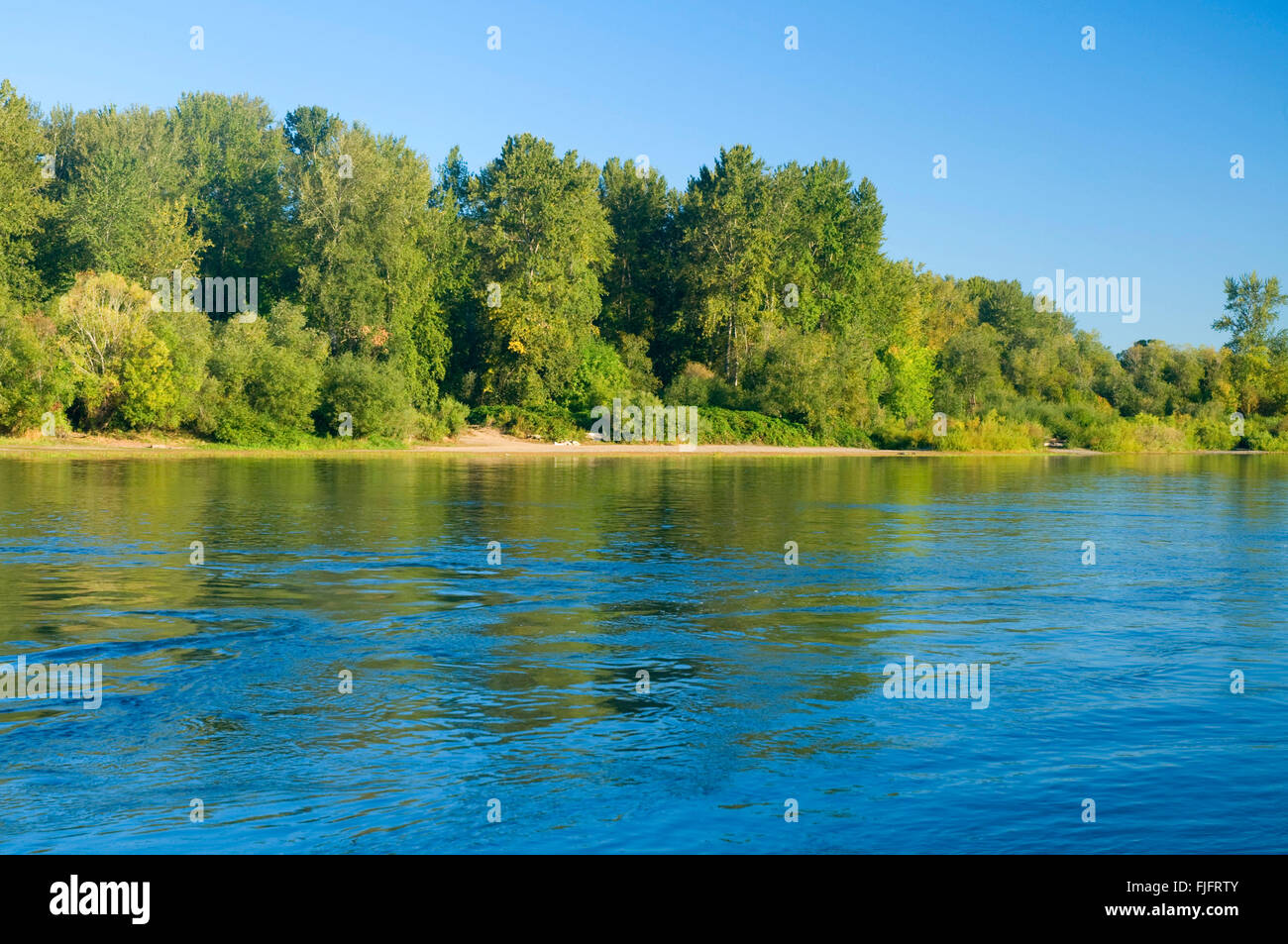 Fiume Willamette, Willamette Missione del parco statale, Oregon Foto Stock