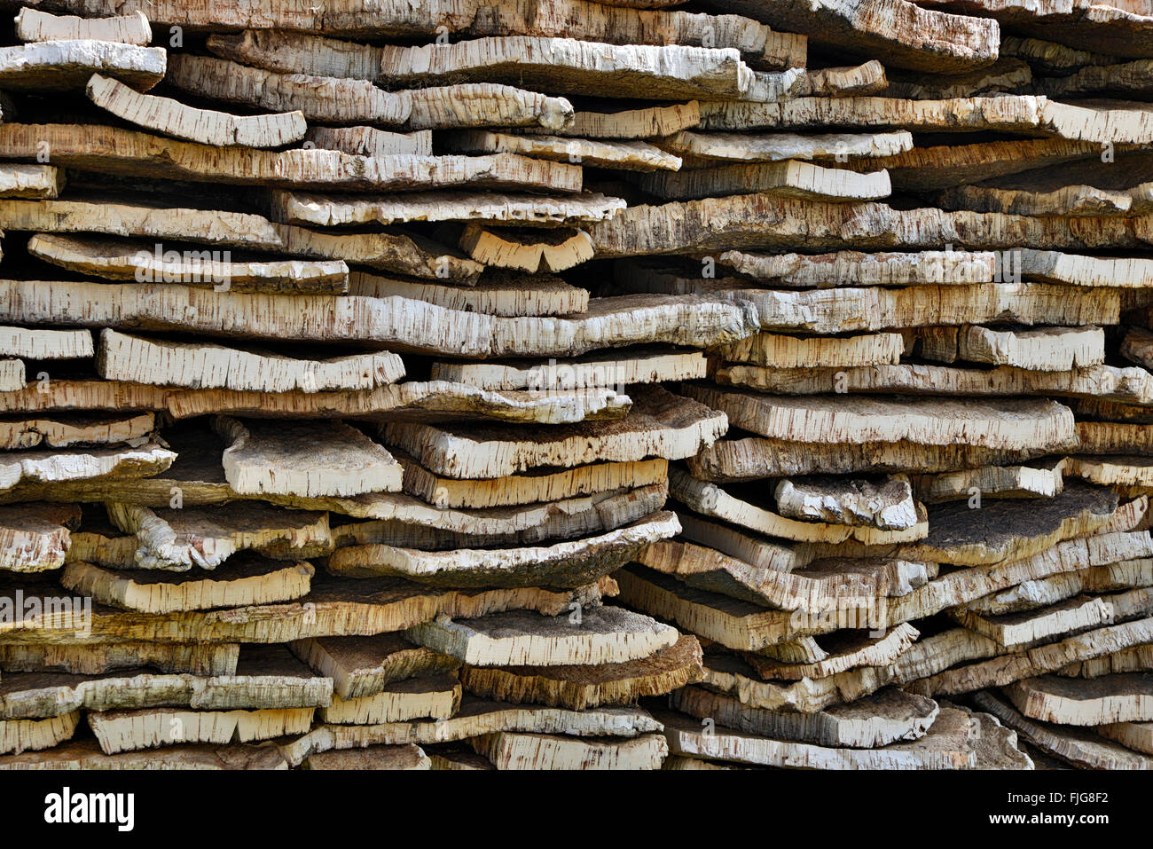 Impilati di corteccia di sughero di quercia da sughero (Quercus suber), Sardegna, Italia Foto Stock