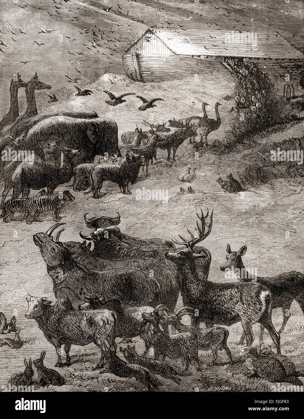 Gli animali di entrare l'arca di Noè, dal libro della Genesi, antico testamento. Foto Stock
