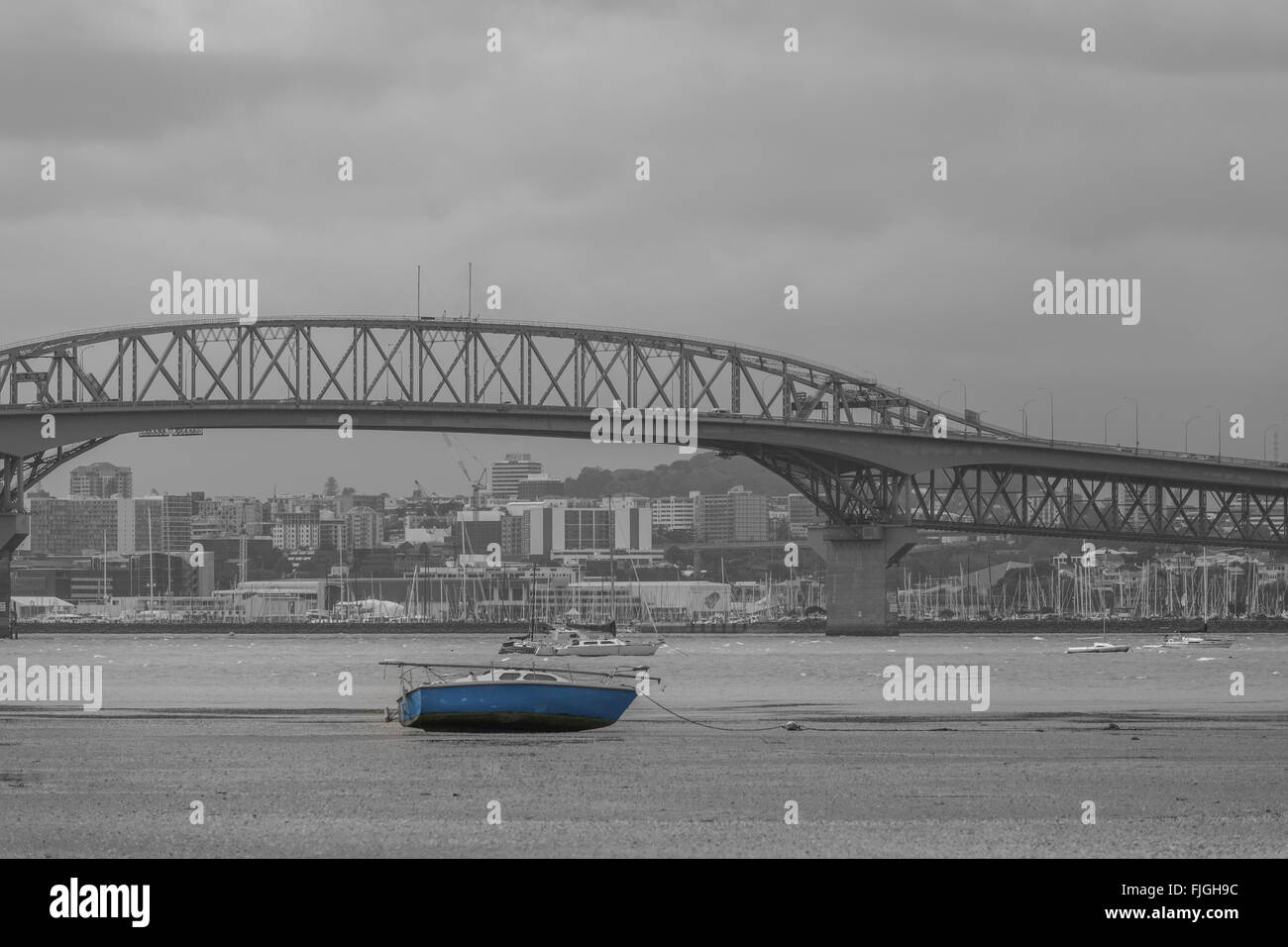 Bassa marea a porto di Auckland Foto Stock