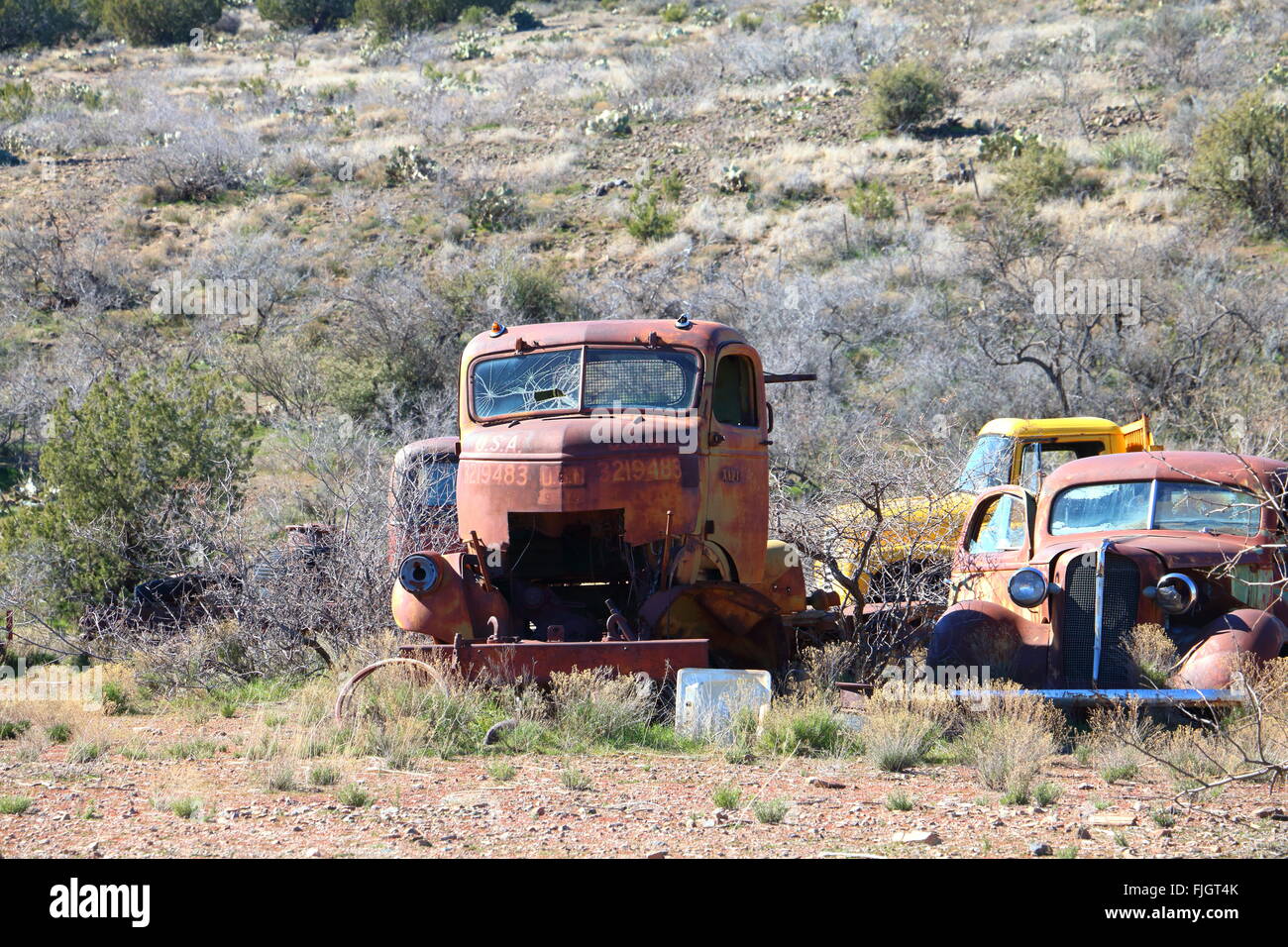 Vecchia automobile arrugginita Foto Stock